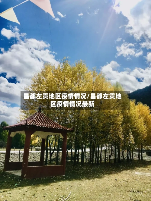 昌都左贡地区疫情情况/昌都左贡地区疫情情况最新-第2张图片