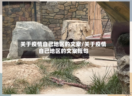 关于疫情自己地区的文案/关于疫情自己地区的文案短句