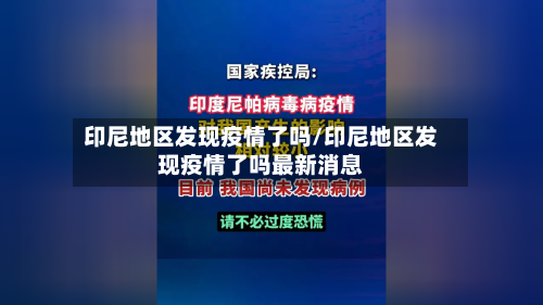 印尼地区发现疫情了吗/印尼地区发现疫情了吗最新消息-第2张图片