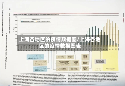 上海各地区的疫情数据图/上海各地区的疫情数据图表