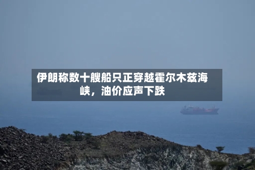 伊朗称数十艘船只正穿越霍尔木兹海峡,油价应声下跌