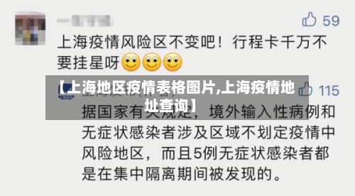 【上海地区疫情表格图片,上海疫情地址查询】