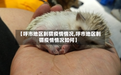 【呼市地区刺猬疫情情况,呼市地区刺猬疫情情况如何】