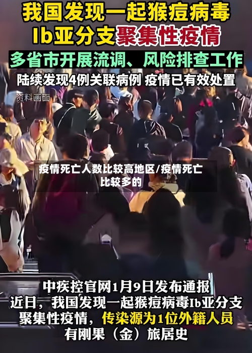 疫情死亡人数比较高地区/疫情死亡比较多的