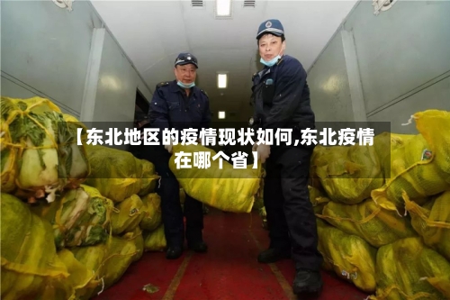 【东北地区的疫情现状如何,东北疫情在哪个省】