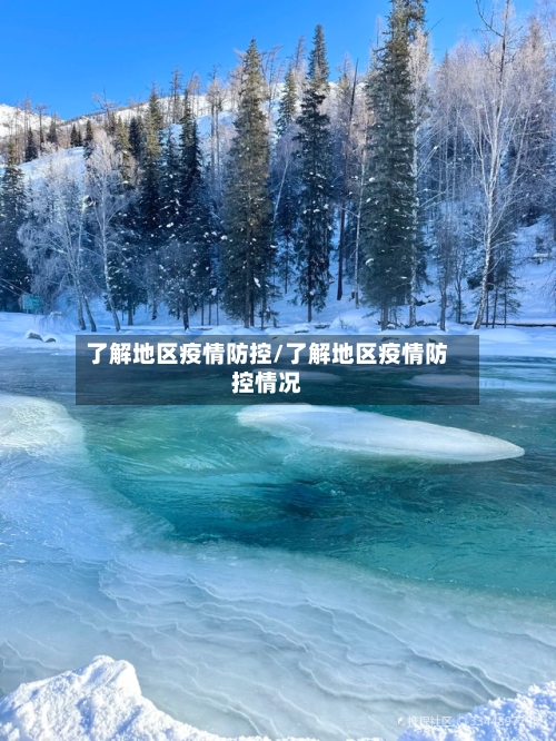 了解地区疫情防控/了解地区疫情防控情况