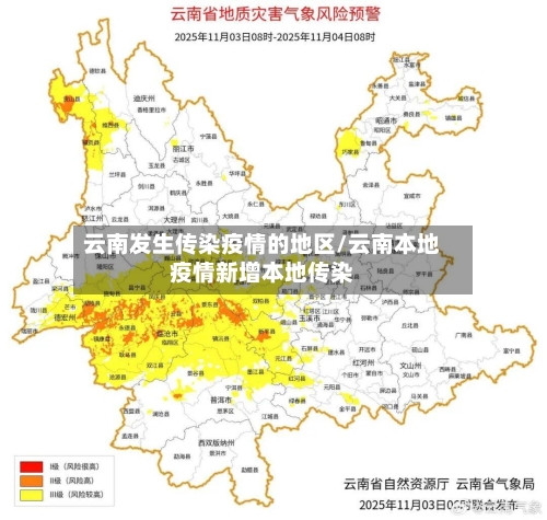 云南发生传染疫情的地区/云南本地疫情新增本地传染