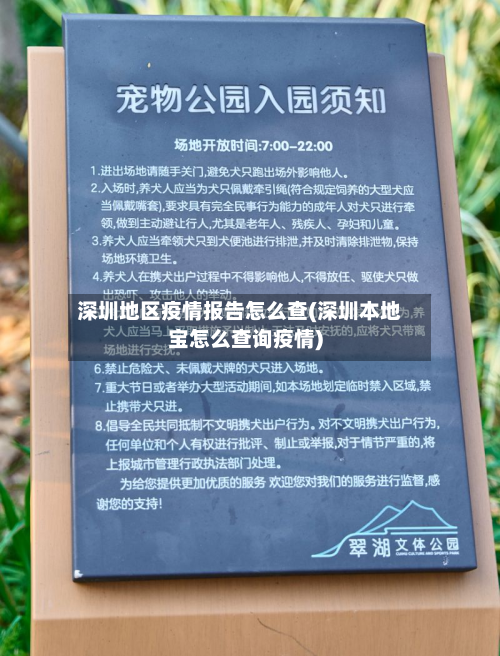 深圳地区疫情报告怎么查(深圳本地宝怎么查询疫情)
