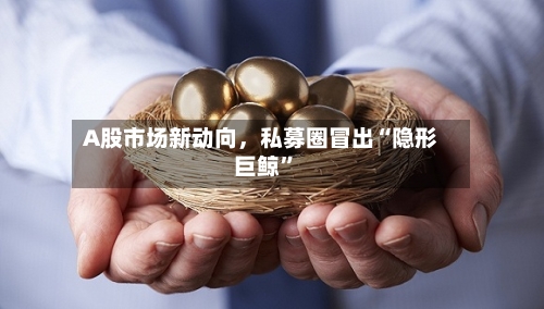 A股市场新动向，私募圈冒出“隐形巨鲸”