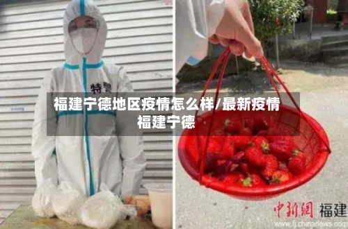 福建宁德地区疫情怎么样/最新疫情福建宁德