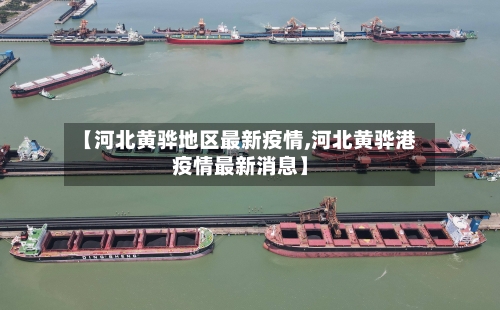 【河北黄骅地区最新疫情,河北黄骅港疫情最新消息】