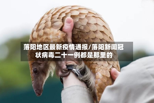 落阳地区最新疫情通报/落阳新闻冠状病毒二十一例都是那里的
