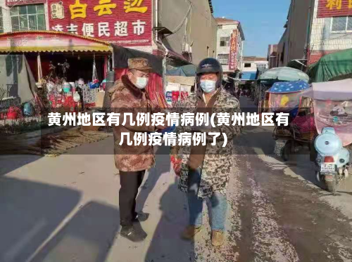 黄州地区有几例疫情病例(黄州地区有几例疫情病例了)