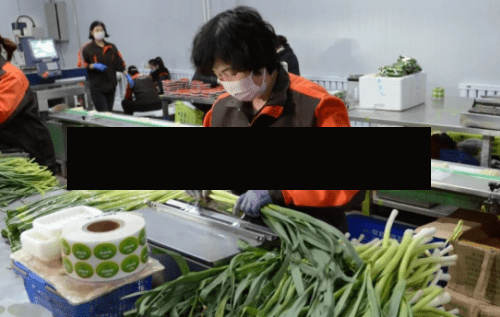 疫情地区如何在网上买菜/疫情期间怎么线上买菜