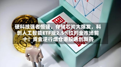 硬科技强者恒强，存储芯片大爆发，科创人工智能ETF涨2.5%位列全市场前十！资金逆行增仓港股通创新药