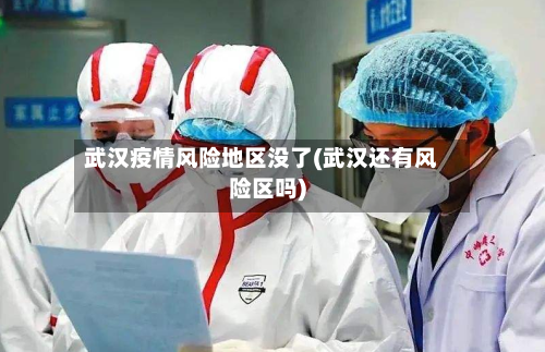 武汉疫情风险地区没了(武汉还有风险区吗)