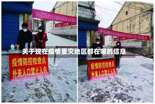 关于现在疫情重灾地区都在哪的信息