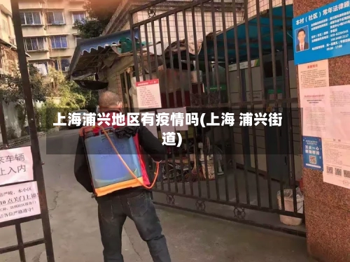 上海浦兴地区有疫情吗(上海 浦兴街道)