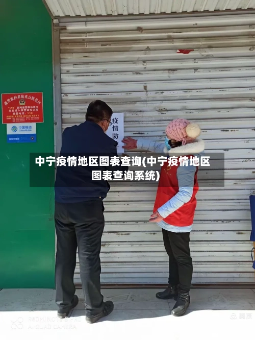 中宁疫情地区图表查询(中宁疫情地区图表查询系统)