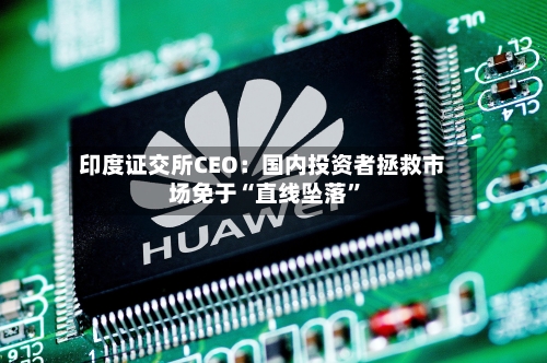 印度证交所CEO：国内投资者拯救市场免于“直线坠落”