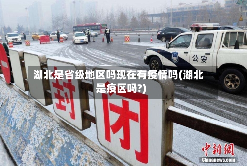 湖北是省级地区吗现在有疫情吗(湖北是疫区吗?)