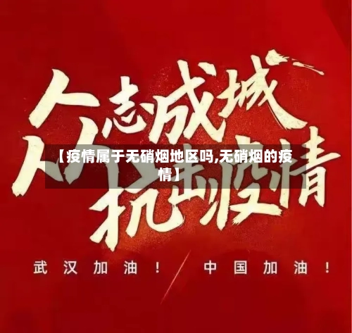 【疫情属于无硝烟地区吗,无硝烟的疫情】