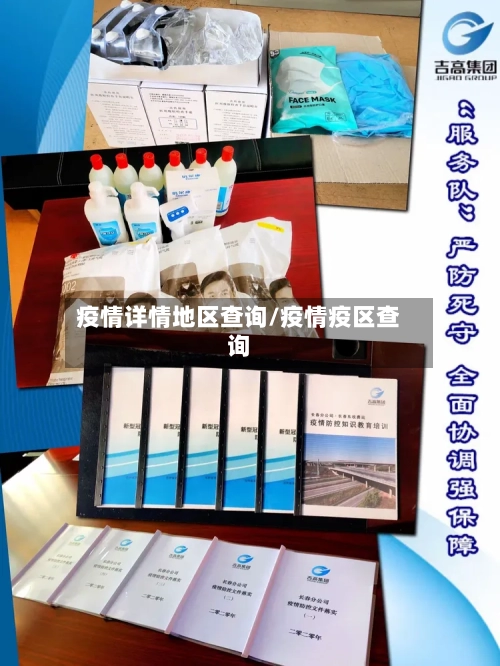 疫情详情地区查询/疫情疫区查询