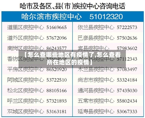 【怎么查哪些地区有疫情了,怎么查看所在地区的疫情】