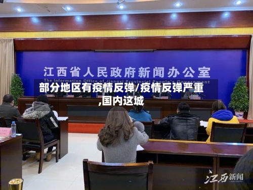 部分地区有疫情反弹/疫情反弹严重,国内这城