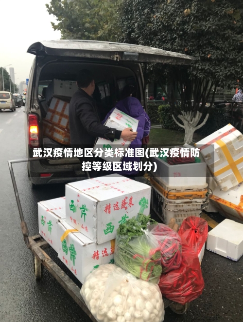 武汉疫情地区分类标准图(武汉疫情防控等级区域划分)