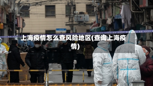 上海疫情怎么查风险地区(查询上海疫情)