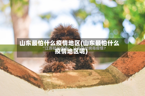 山东最怕什么疫情地区(山东最怕什么疫情地区呢)
