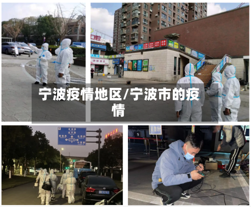 宁波疫情地区/宁波市的疫情