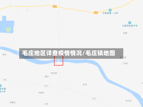 毛庄地区详查疫情情况/毛庄镇地图