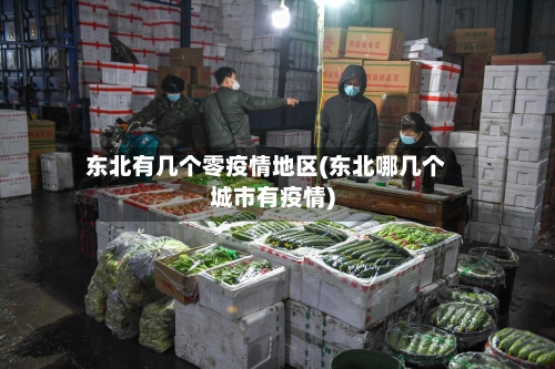 东北有几个零疫情地区(东北哪几个城市有疫情)