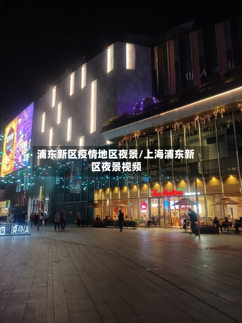 浦东新区疫情地区夜景/上海浦东新区夜景视频
