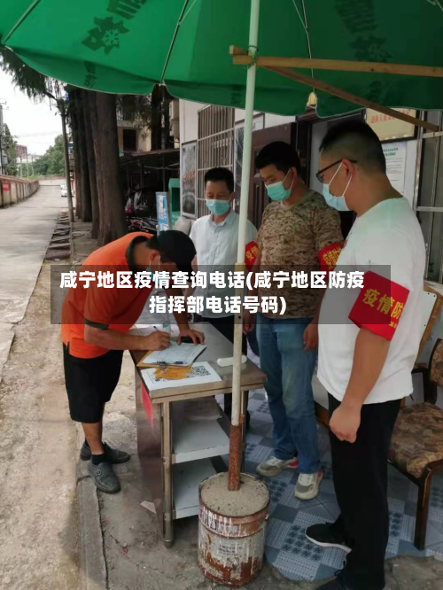 咸宁地区疫情查询电话(咸宁地区防疫指挥部电话号码)