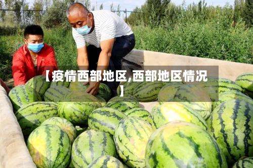 【疫情西部地区,西部地区情况】