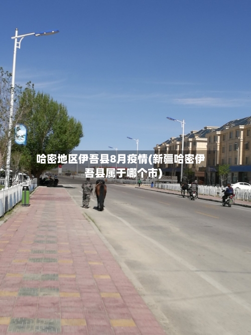 哈密地区伊吾县8月疫情(新疆哈密伊吾县属于哪个市)
