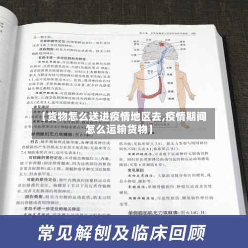 【货物怎么送进疫情地区去,疫情期间怎么运输货物】