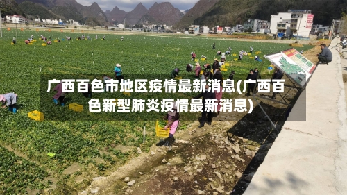 广西百色市地区疫情最新消息(广西百色新型肺炎疫情最新消息)