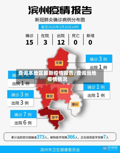 查询本地区最新疫情报告/查询当地疫情情况