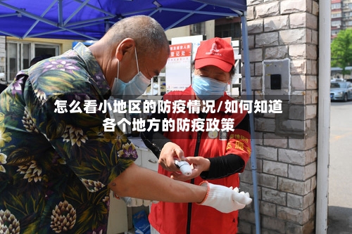怎么看小地区的防疫情况/如何知道各个地方的防疫政策