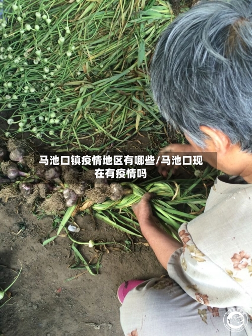马池口镇疫情地区有哪些/马池口现在有疫情吗
