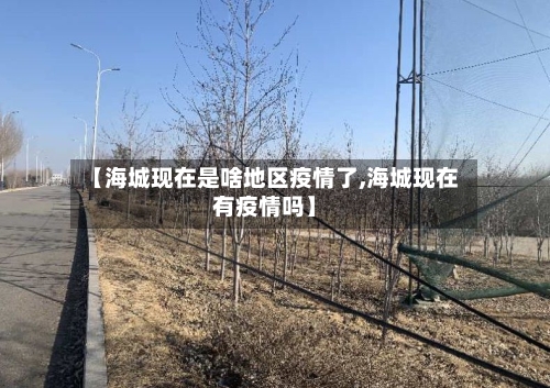 【海城现在是啥地区疫情了,海城现在有疫情吗】
