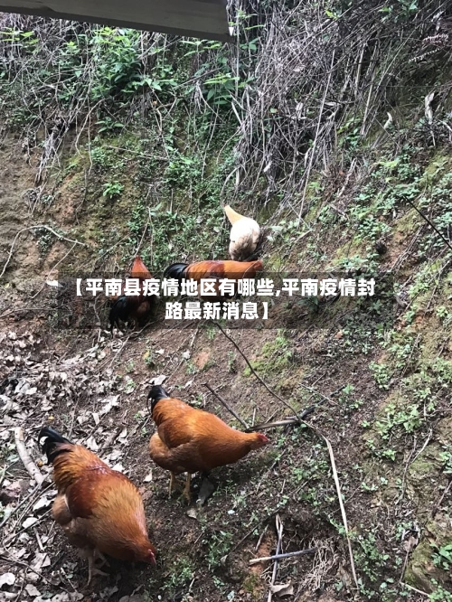 【平南县疫情地区有哪些,平南疫情封路最新消息】