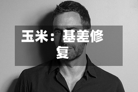 玉米:基差修复