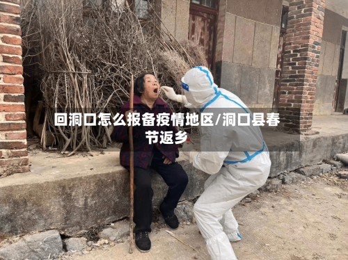 回洞口怎么报备疫情地区/洞口县春节返乡