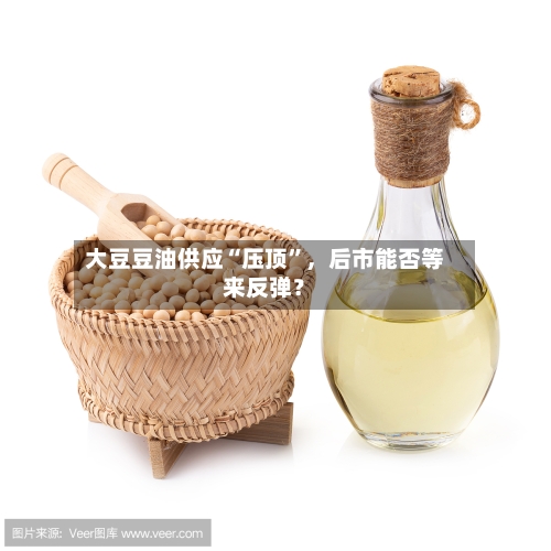 大豆豆油供应“压顶”，后市能否等来反弹？