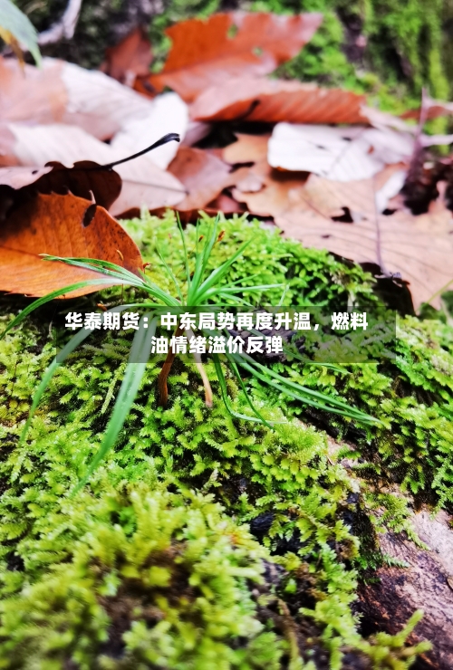 华泰期货：中东局势再度升温，燃料油情绪溢价反弹